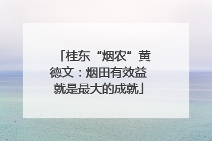 桂东“烟农”黄德文：烟田有效益就是最大的成就