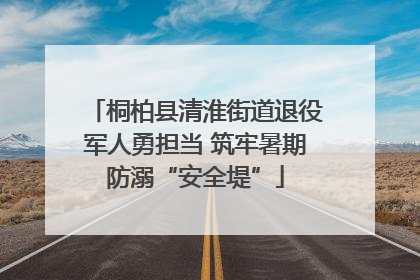 桐柏县清淮街道退役军人勇担当 筑牢暑期防溺“安全堤”
