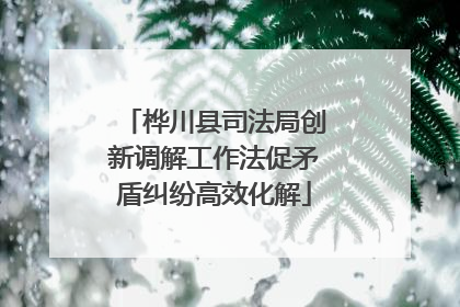 桦川县司法局创新调解工作法促矛盾纠纷高效化解