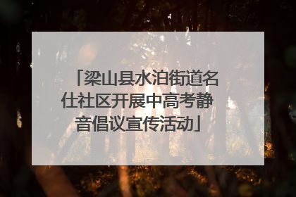 梁山县水泊街道名仕社区开展中高考静音倡议宣传活动