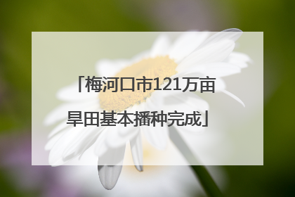 梅河口市121万亩旱田基本播种完成