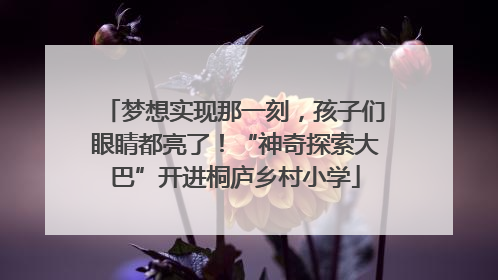梦想实现那一刻，孩子们眼睛都亮了！“神奇探索大巴”开进桐庐乡村小学