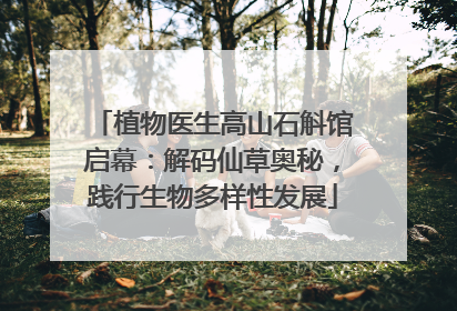 植物医生高山石斛馆启幕：解码仙草奥秘，践行生物多样性发展