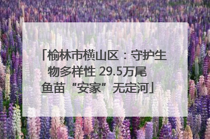 榆林市横山区：守护生物多样性 29.5万尾鱼苗“安家”无定河