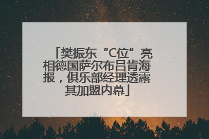 樊振东“C位”亮相德国萨尔布吕肯海报，俱乐部经理透露其加盟内幕