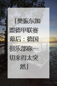 樊振东加盟德甲联赛幕后：德国俱乐部称一切来得太突然