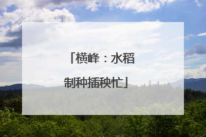 横峰：水稻制种插秧忙