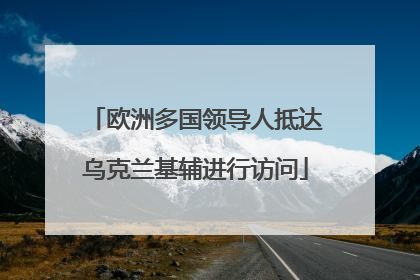 欧洲多国领导人抵达乌克兰基辅进行访问