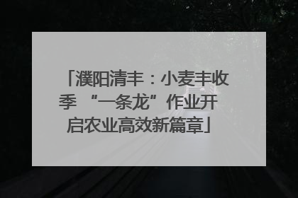 濮阳清丰：小麦丰收季 “一条龙”作业开启农业高效新篇章
