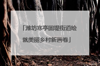 潍坊寒亭固堤街道绘就美丽乡村新画卷