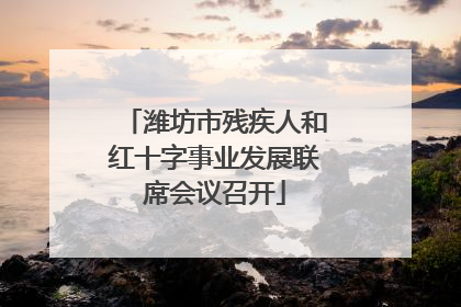潍坊市残疾人和红十字事业发展联席会议召开
