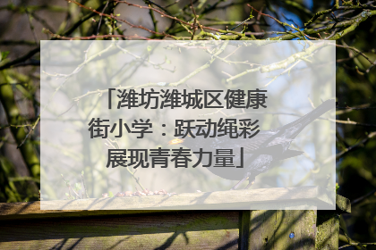 潍坊潍城区健康街小学：跃动绳彩展现青春力量