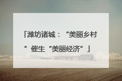 潍坊诸城：“美丽乡村”催生“美丽经济”