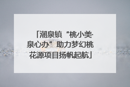 潮泉镇“桃小美·泉心办”助力梦幻桃花源项目扬帆起航
