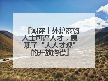 潮评丨外籍商贸人士可评人才，展现了“大人才观”的开放胸襟