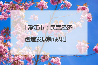 澄江市：民营经济创造发展新成果