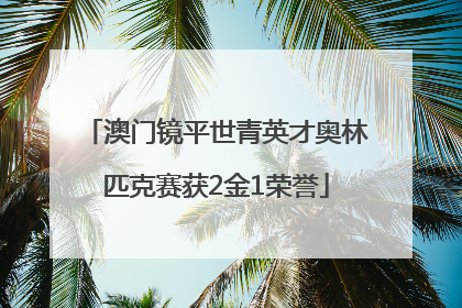 澳门镜平世青英才奥林匹克赛获2金1荣誉