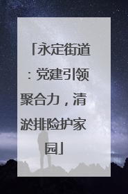 永定街道：党建引领聚合力，清淤排险护家园