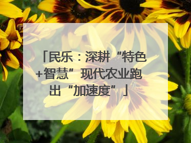 民乐：深耕“特色+智慧”现代农业跑出“加速度”