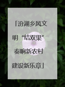 汾湖乡风文明“结双果” 奏响新农村建设新乐章