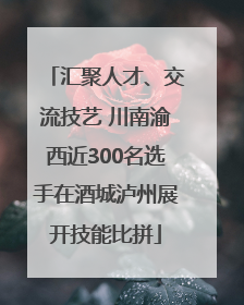 汇聚人才、交流技艺 川南渝西近300名选手在酒城泸州展开技能比拼