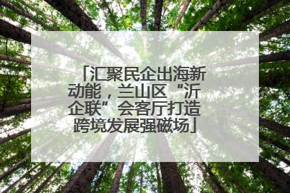 汇聚民企出海新动能，兰山区“沂企联”会客厅打造跨境发展强磁场
