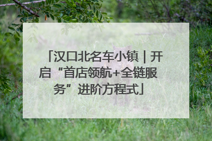 汉口北名车小镇｜开启“首店领航+全链服务”进阶方程式