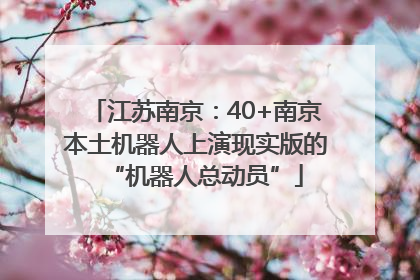 江苏南京：40+南京本土机器人上演现实版的“机器人总动员”