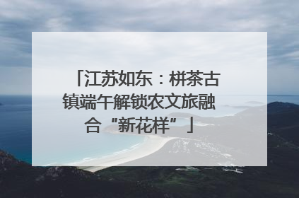 江苏如东：栟茶古镇端午解锁农文旅融合“新花样”