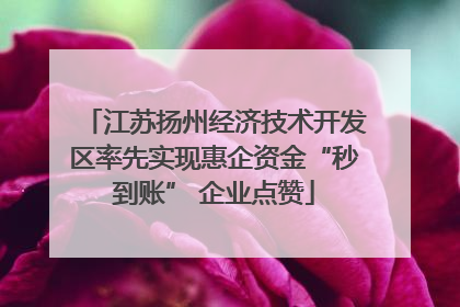 江苏扬州经济技术开发区率先实现惠企资金“秒到账” 企业点赞