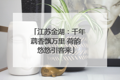 江苏金湖：千年藕香飘万里 荷韵悠悠引客来