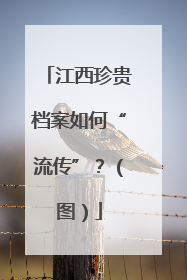 江西珍贵档案如何“流传”？（图）