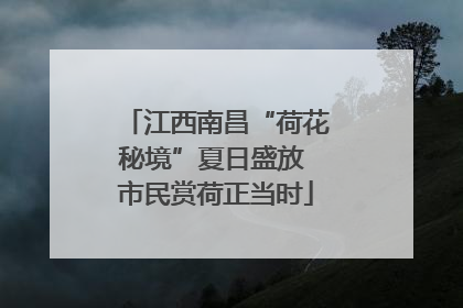 江西南昌“荷花秘境”夏日盛放 市民赏荷正当时