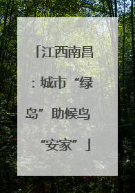 江西南昌：城市“绿岛”助候鸟“安家”