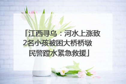 江西寻乌:河水上涨致2名小孩被困大桥桥墩 民警蹚水紧急救援