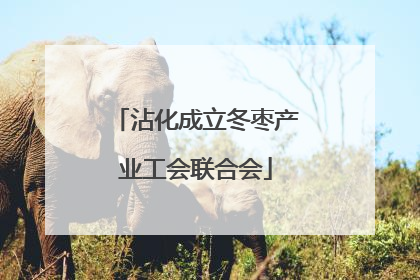 沾化成立冬枣产业工会联合会