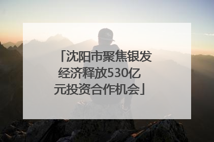 沈阳市聚焦银发经济释放530亿元投资合作机会
