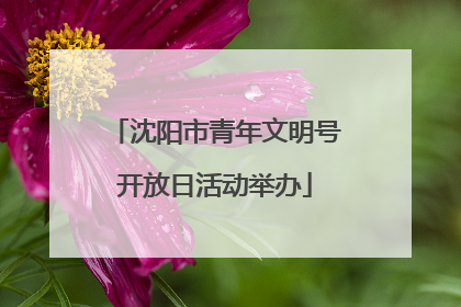 沈阳市青年文明号开放日活动举办