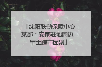 沈阳联勤保障中心某部：安家驻地周边 军士跨市团聚