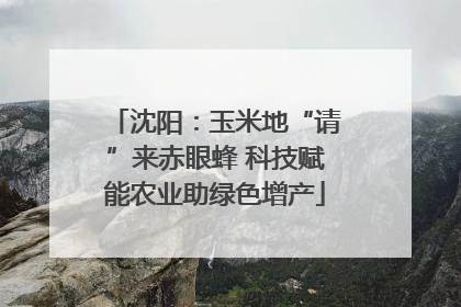沈阳：玉米地“请”来赤眼蜂 科技赋能农业助绿色增产