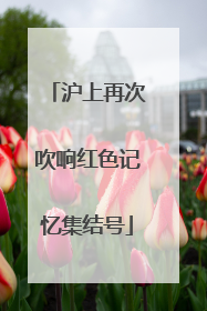 沪上再次吹响红色记忆集结号