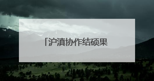 沪滇协作结硕果 共筑产业新高地
