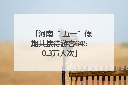 河南“ 五一”假期共接待游客6450.3万人次
