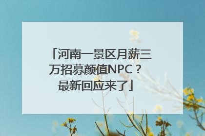 河南一景区月薪三万招募颜值NPC？最新回应来了