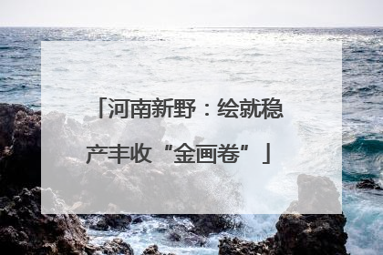 河南新野：绘就稳产丰收“金画卷”