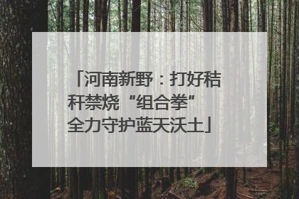 河南新野：打好秸秆禁烧“组合拳” 全力守护蓝天沃土