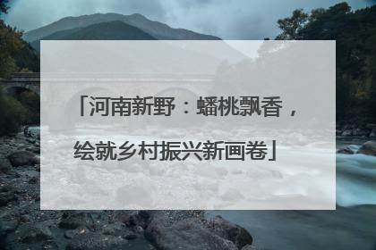 河南新野：蟠桃飘香，绘就乡村振兴新画卷