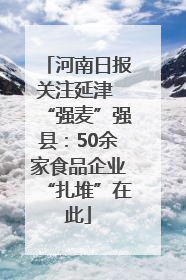 河南日报关注延津 “强麦”强县：50余家食品企业“扎堆”在此