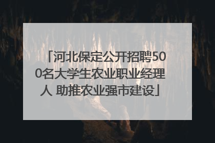 河北保定公开招聘500名大学生农业职业经理人 助推农业强市建设