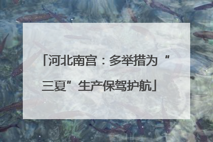河北南宫：多举措为“三夏”生产保驾护航